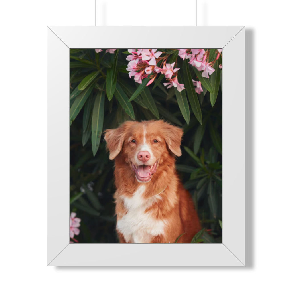 Framed Poster - Happy Nova Scotia Duck Tolling Retriever Portrait (Vertical)
