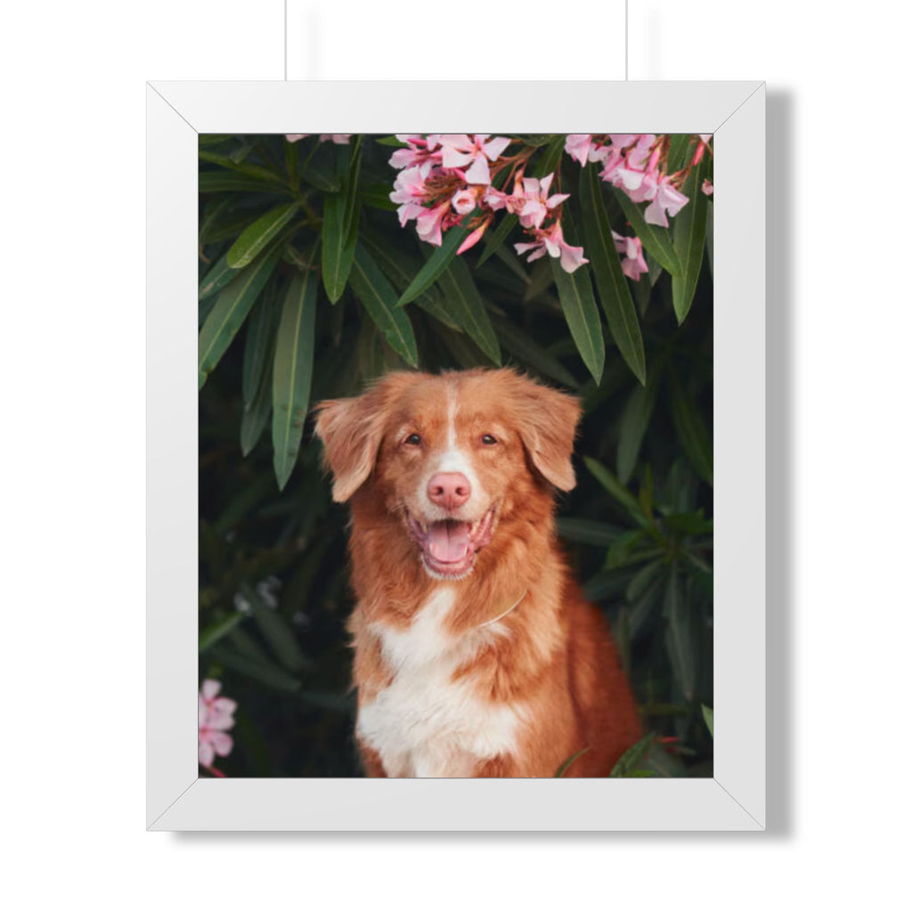 Framed Poster - Happy Nova Scotia Duck Tolling Retriever Portrait (Vertical)