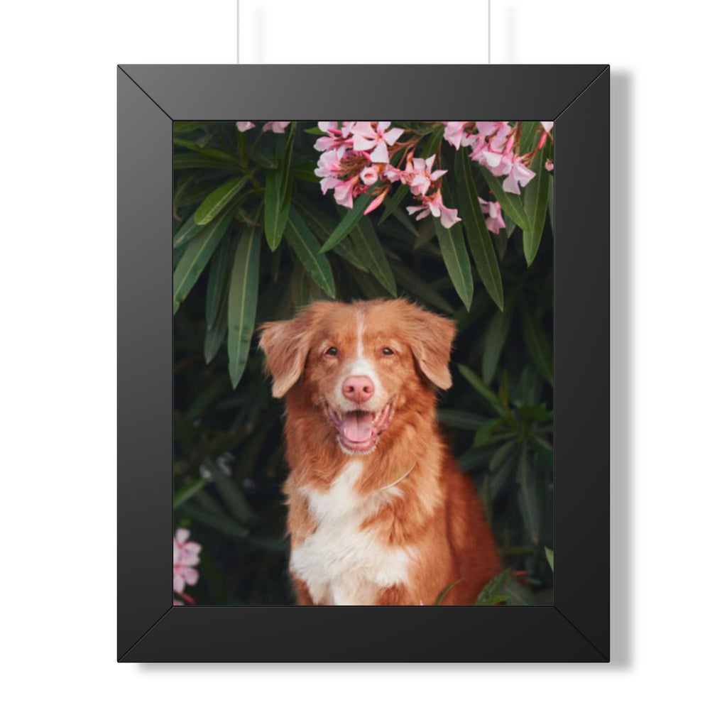 Framed Poster - Happy Nova Scotia Duck Tolling Retriever Portrait (Vertical)