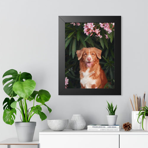 Framed Poster - Happy Nova Scotia Duck Tolling Retriever Portrait (Vertical)
